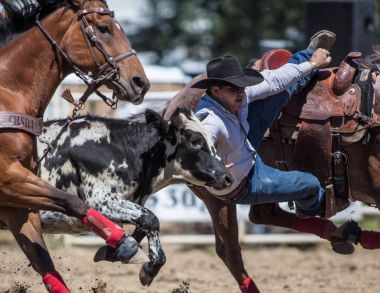 Güreş Cowboys yönlendirmek