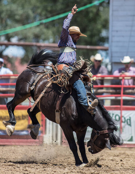Седло Bronc действий