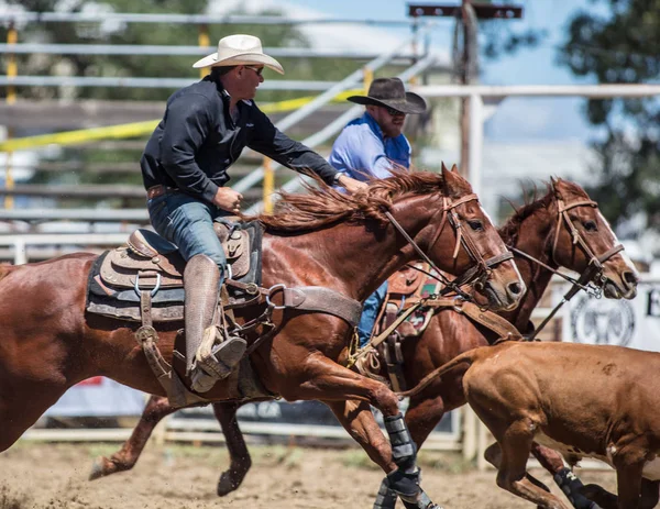 Steer Wrestling kovbojové — Stock fotografie