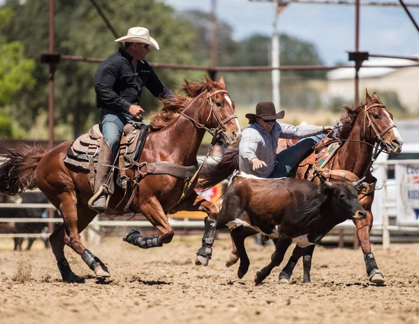 Styra brottning Cowboys — Stockfoto
