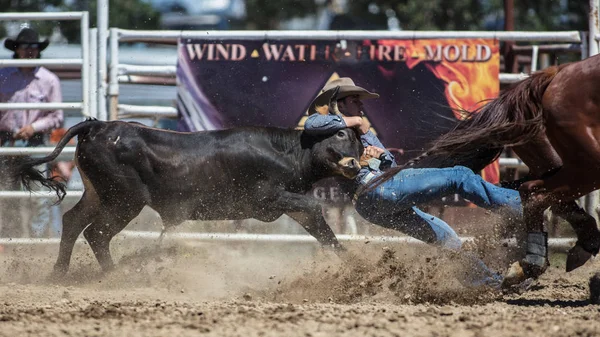 Steer Wrestling vaqueros — Foto de Stock