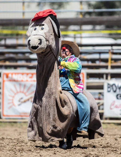Payaso de rodeo divertido — Foto de Stock