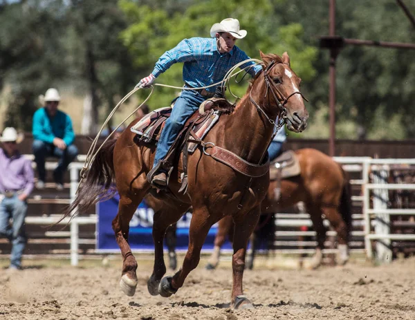Sonra Steer