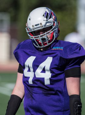 Tüm Star Linebacker