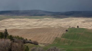 Palouse tepeler haddeleme