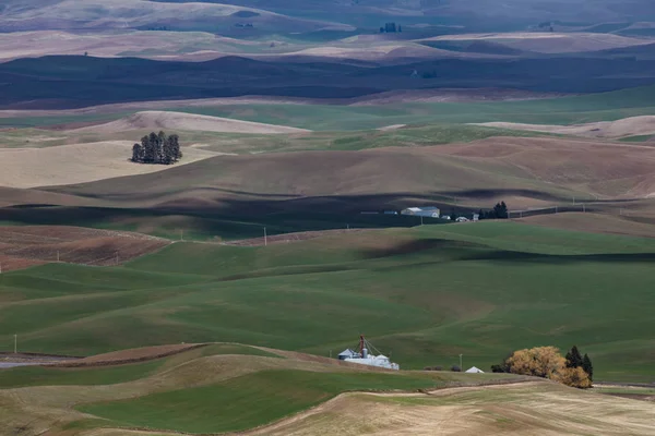 Colinas ondulantes do palouse — Fotografia de Stock