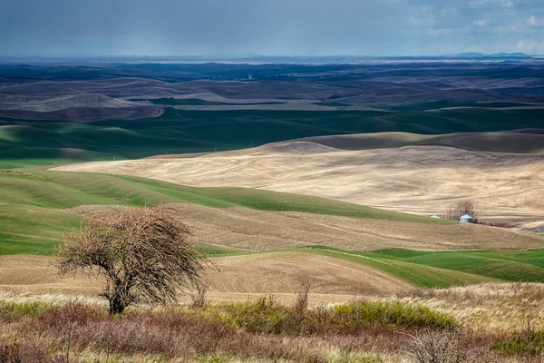 Rolling Hills of the Palouse