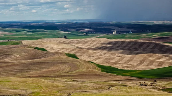 Zvlněné kopce Palouse — Stock fotografie