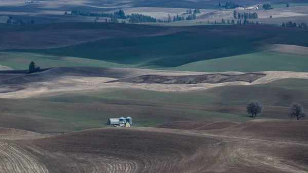Rolling Hills of the Palouse