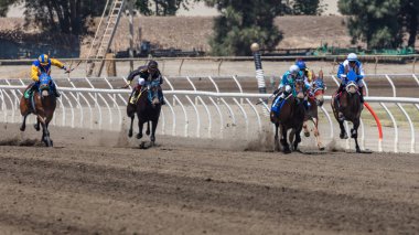 bir gün at yarışları