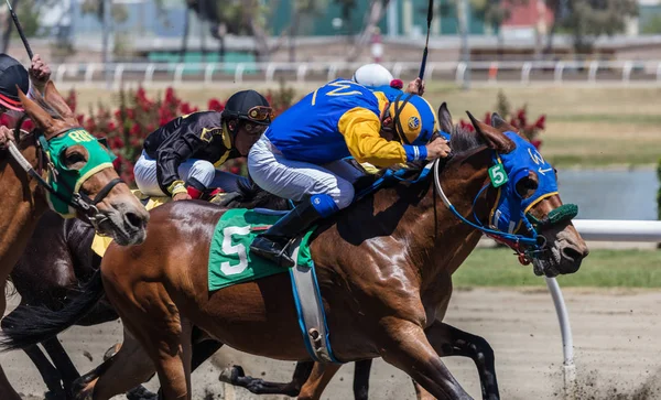 Eylem, Cal Expo parkur Sacramento, California at. 15 Haziran 2017