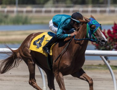 Kahverengi zafere sürme