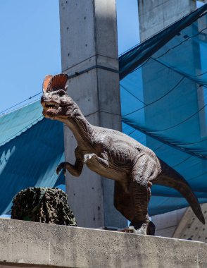 Scott Vadisi zevk Park Rodeo Etna, Kaliforniya'da Rodeo eylem. 29 Temmuz 2017 
