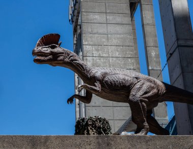Scott Vadisi zevk Park Rodeo Etna, Kaliforniya'da Rodeo eylem. 29 Temmuz 2017 