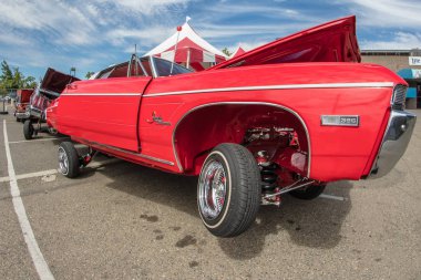 Bir gün Auto Show'da