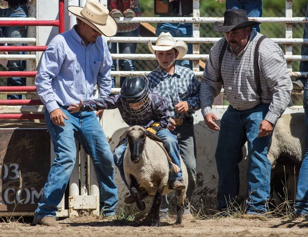 Mutton Busting Rodeo Júnior Scott Valley Rodeo Etna Califórnia Julho — Fotografia de Stock