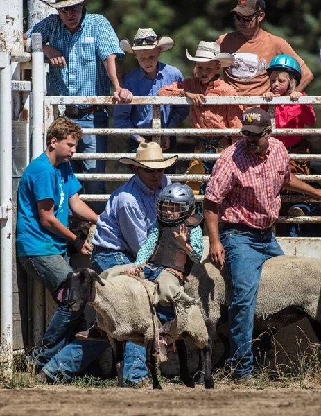 Acción Rodeo Scott Valley Pleasure Park Rodeo Etna California Julio — Foto de Stock