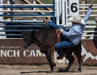 Scott Vadisi zevk Park Rodeo Etna, Kaliforniya'da Rodeo eylem. 29 Temmuz 2017 