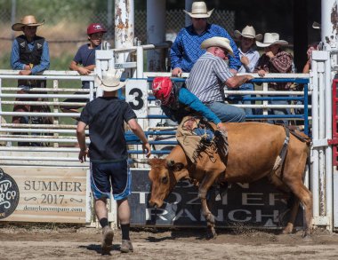 Binme olay Scott Vadisi zevk Park Rodeo Etna, California yönlendirmek. 29 Temmuz 2017