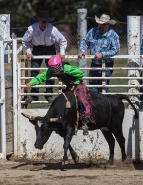 Binme olay Scott Vadisi zevk Park Rodeo Etna, California yönlendirmek. 29 Temmuz 2017