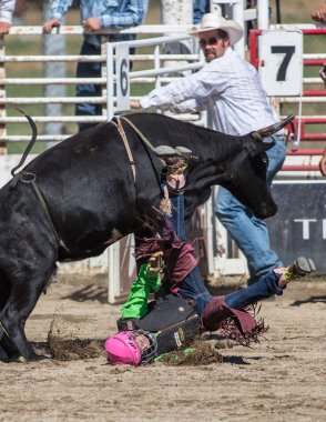Binme olay Scott Vadisi zevk Park Rodeo Etna, California yönlendirmek. 29 Temmuz 2017