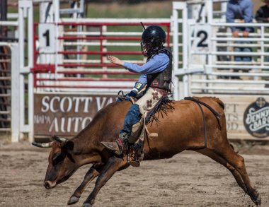 Binme olay Scott Vadisi zevk Park Rodeo Etna, California yönlendirmek. 29 Temmuz 2017