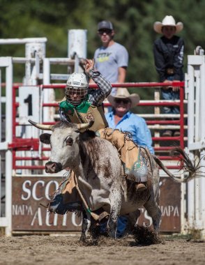 Binme olay Scott Vadisi zevk Park Rodeo Etna, California yönlendirmek. 29 Temmuz 2017