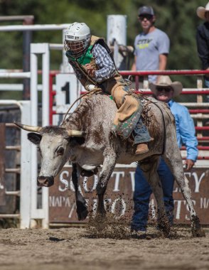 Binme olay Scott Vadisi zevk Park Rodeo Etna, California yönlendirmek. 29 Temmuz 2017