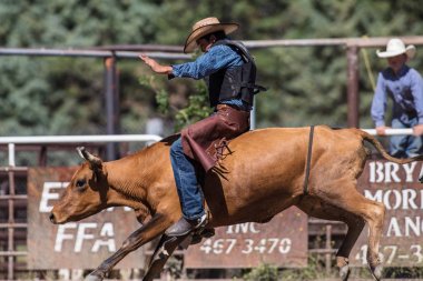 Rodeo action  at the Scott Valley Pleasure Park Rodeo in Etna, California. July 29th, 2017  clipart