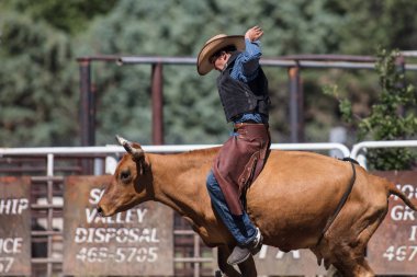 Scott Vadisi zevk Park Rodeo Etna, Kaliforniya'da Rodeo eylem. 29 Temmuz 2017 