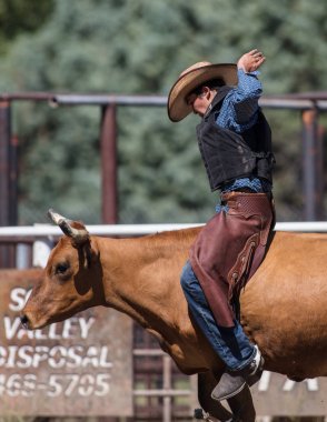 Binme olay Scott Vadisi zevk Park Rodeo Etna, California yönlendirmek. 29 Temmuz 2017