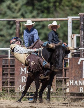 Binme olay Scott Vadisi zevk Park Rodeo Etna, California yönlendirmek. 29 Temmuz 2017