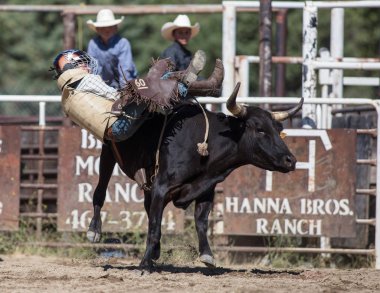 Binme olay Scott Vadisi zevk Park Rodeo Etna, California yönlendirmek. 29 Temmuz 2017