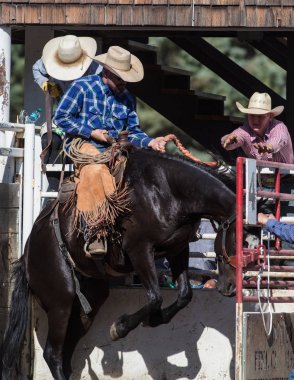 Eyer geri olay Scott Vadisi zevk Park Rodeo Etna, California at binme. 29 Temmuz 2017