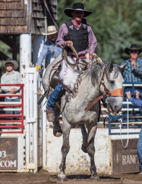 Eyer geri olay Scott Vadisi zevk Park Rodeo Etna, California at binme. 29 Temmuz 2017