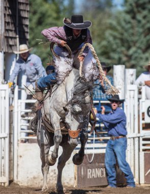 Eyer geri olay Scott Vadisi zevk Park Rodeo Etna, California at binme. 29 Temmuz 2017