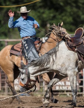 Eyer geri olay Scott Vadisi zevk Park Rodeo Etna, California at binme. 29 Temmuz 2017