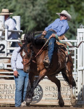 Eyer geri olay Scott Vadisi zevk Park Rodeo Etna, California at binme. 29 Temmuz 2017