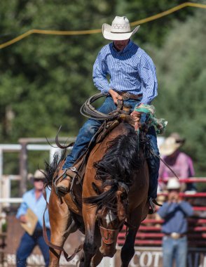 Eyer geri olay Scott Vadisi zevk Park Rodeo Etna, California at binme. 29 Temmuz 2017