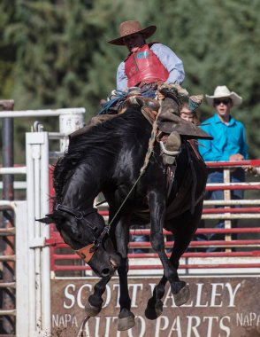 Eyer arka binici eylem 