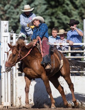 Eyer arka binici eylem 