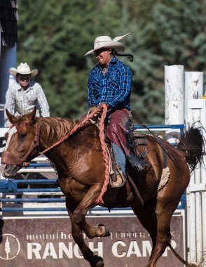 Eyer arka binici eylem 