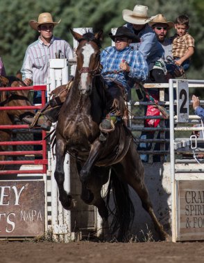 Eyer arka binici eylem 