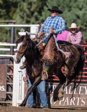 Eyer arka binici eylem 