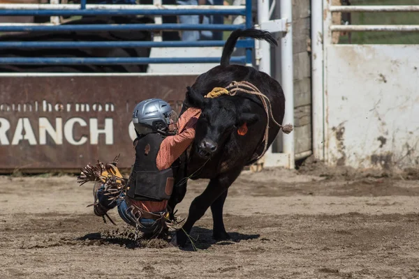 Evento Conducción Scott Valley Pleasure Park Rodeo Etna California Julio — Foto de Stock