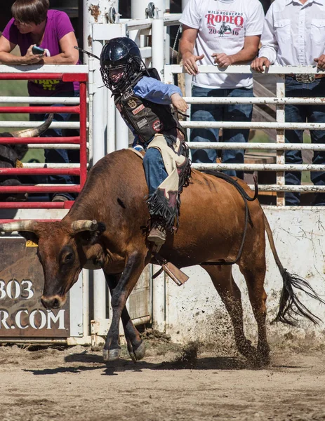 Styra Rider Event Scott Valley Pleasure Park Rodeo Etna Kalifornien — Stockfoto