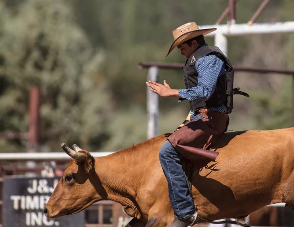 Binme olay Scott Vadisi zevk Park Rodeo Etna, California yönlendirmek. 29 Temmuz 2017