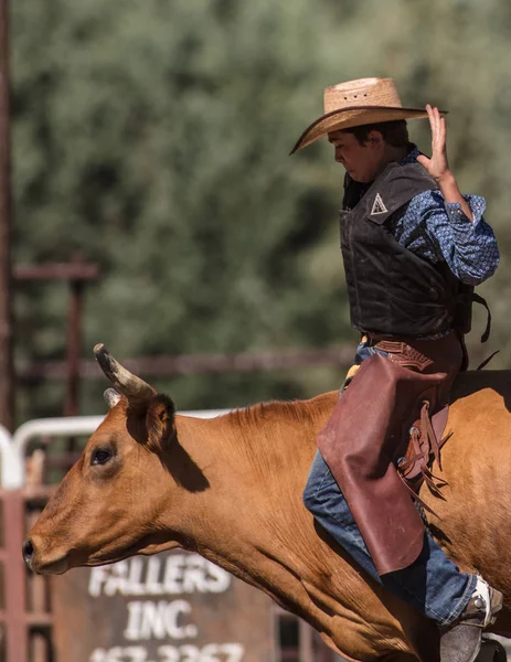 Scott Vadisi zevk Park Rodeo Etna, Kaliforniya'da Rodeo eylem. 29 Temmuz 2017 