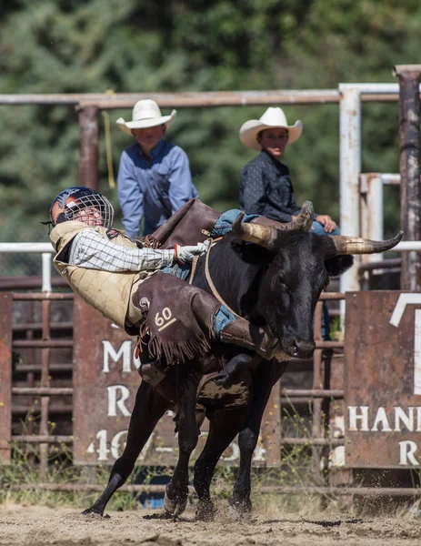 Binme olay Scott Vadisi zevk Park Rodeo Etna, California yönlendirmek. 29 Temmuz 2017