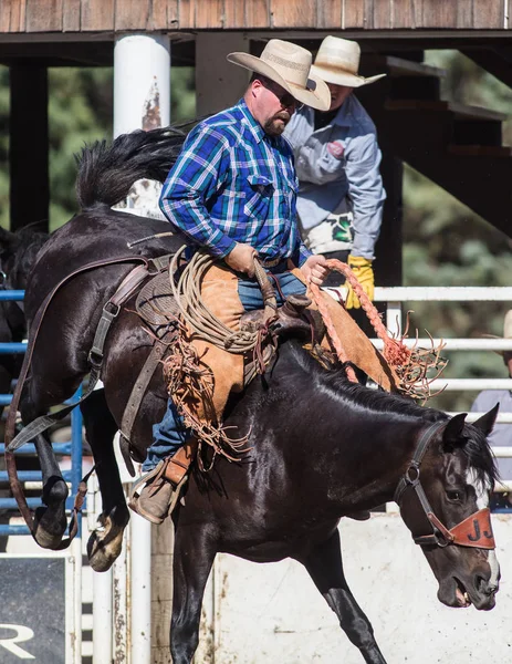 Eyer geri olay Scott Vadisi zevk Park Rodeo Etna, California at binme. 29 Temmuz 2017
